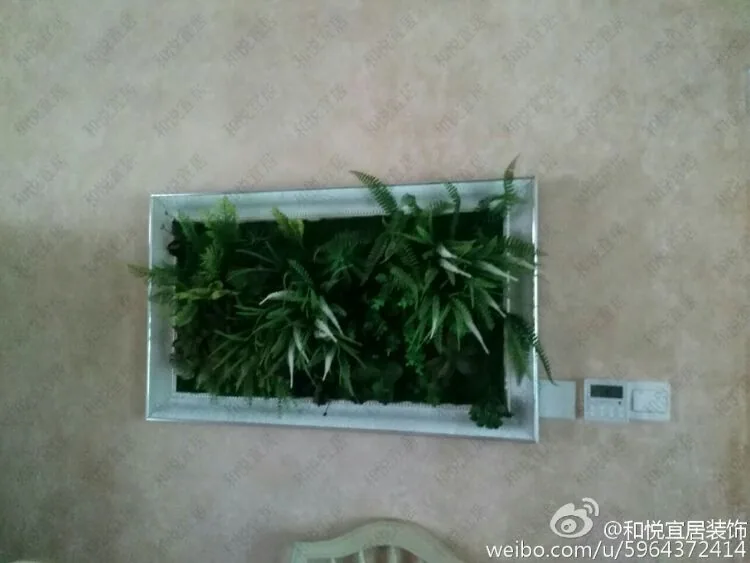 我的美篇